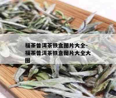 福茶普洱茶铁盒图片大全-福茶普洱茶铁盒图片大全大图