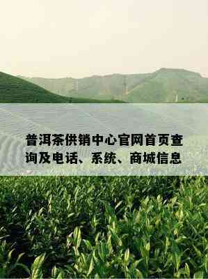 普洱茶供销中心官网首页查询及电话、系统、商城信息
