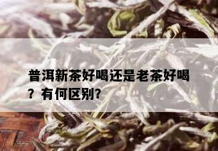 普洱新茶好喝还是老茶好喝？有何区别？