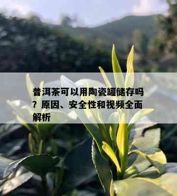 普洱茶可以用陶瓷罐储存吗？原因、安全性和视频全面解析