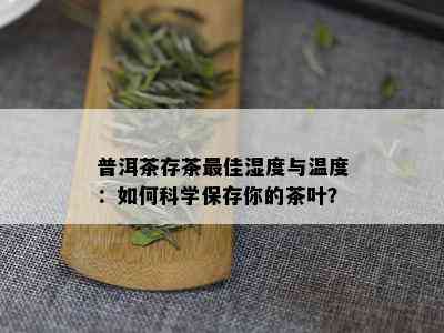 普洱茶存茶更佳湿度与温度：如何科学保存你的茶叶？