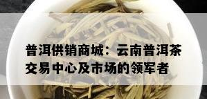 普洱供销商城：云南普洱茶交易中心及市场的领军者