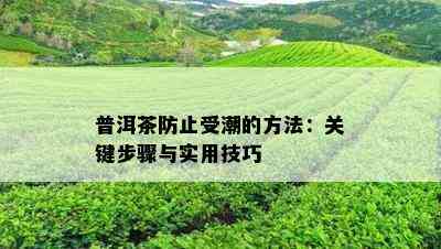 普洱茶防止受潮的方法：关键步骤与实用技巧