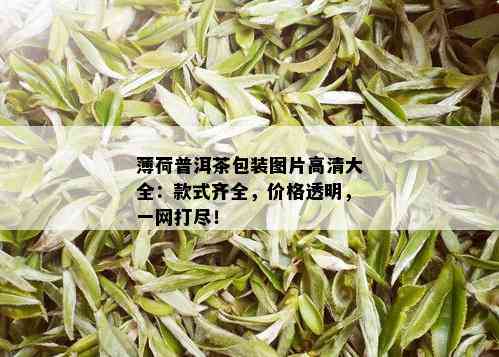 薄荷普洱茶包装图片高清大全：款式齐全，价格透明，一网打尽！