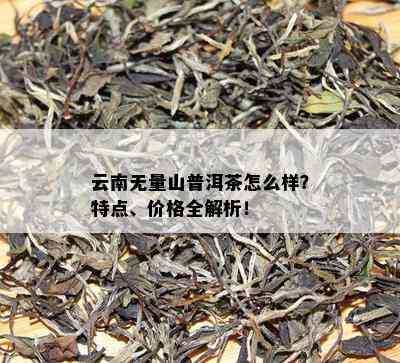 云南无量山普洱茶怎么样？特点、价格全解析！