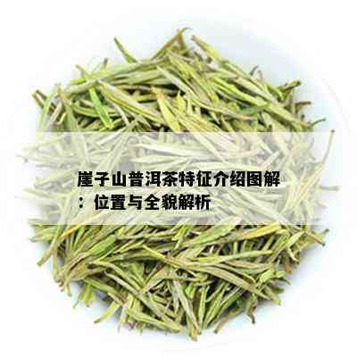 崖子山普洱茶特征介绍图解：位置与全貌解析