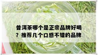 普洱茶哪个是正宗品牌好喝？推荐几个口感不错的品牌