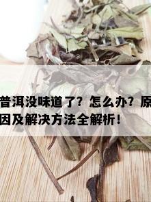 普洱没味道了？怎么办？原因及解决方法全解析！