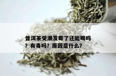 普洱茶受潮发霉了还能喝吗？有吗？原因是什么？