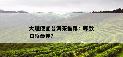 大理便宜普洱茶推荐：哪款口感更佳？