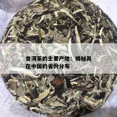 普洱茶的主要产地：揭秘其在中国的省份分布