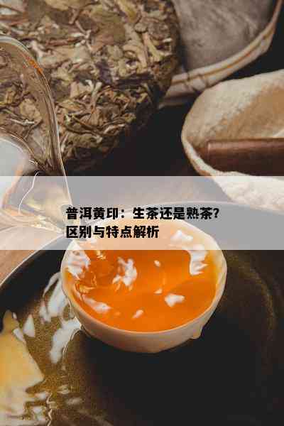 普洱黄印：生茶还是熟茶？区别与特点解析