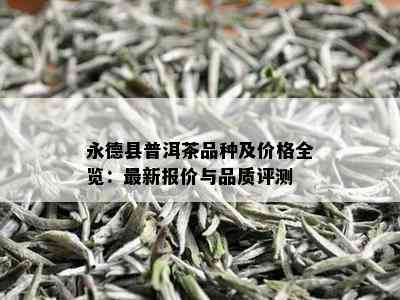 永德县普洱茶品种及价格全览：最新报价与品质评测