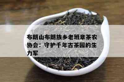 布朗山布朗族乡老班章茶农协会：守护千年古茶园的生力军