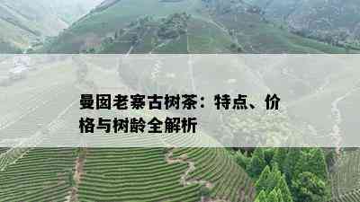 曼囡老寨古树茶：特点、价格与树龄全解析