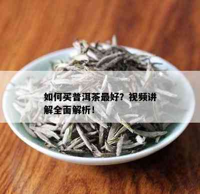 如何买普洱茶更好？视频讲解全面解析！