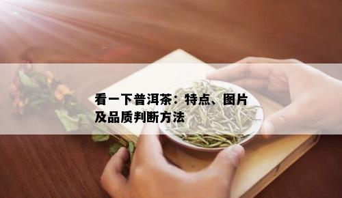 看一下普洱茶：特点、图片及品质判断方法