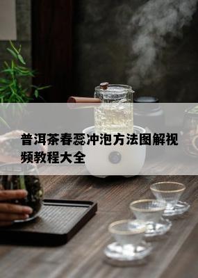 普洱茶春蕊冲泡方法图解视频教程大全