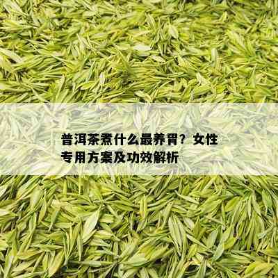 普洱茶煮什么最养胃？女性专用方案及功效解析