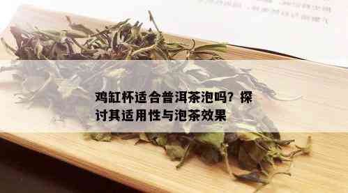 鸡缸杯适合普洱茶泡吗？探讨其适用性与泡茶效果