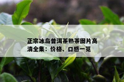 正宗冰岛普洱茶熟茶图片高清全集：价格、口感一览