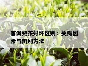 普洱熟茶好坏区别：关键因素与辨别方法