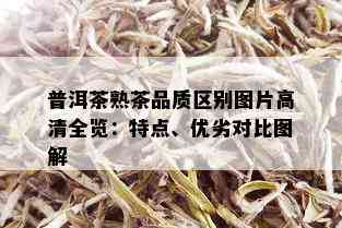 普洱茶熟茶品质区别图片高清全览：特点、优劣对比图解