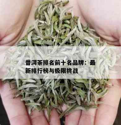 普洱茶排名前十名品牌：最新排行榜与极限挑战