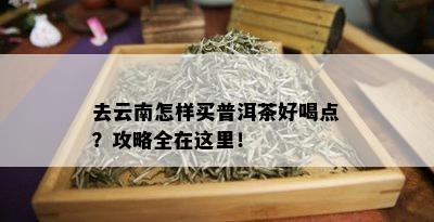 去云南怎样买普洱茶好喝点？攻略全在这里！