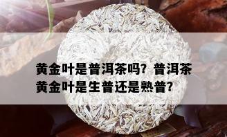 黄金叶是普洱茶吗？普洱茶黄金叶是生普还是熟普？