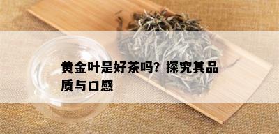 黄金叶是好茶吗？探究其品质与口感