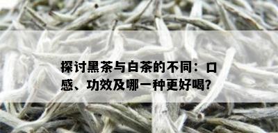 探讨黑茶与白茶的不同：口感、功效及哪一种更好喝？