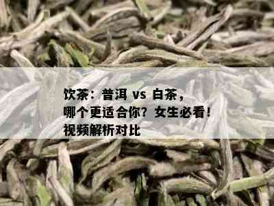 饮茶：普洱 vs 白茶，哪个更适合你？女生必看！视频解析对比