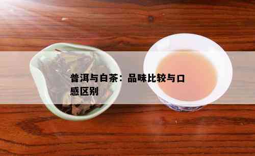 普洱与白茶：品味比较与口感区别