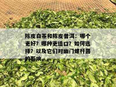 陈皮白茶和陈皮普洱：哪个更好？哪种更适口？如何选择？以及它们对幽门螺杆菌的影响。