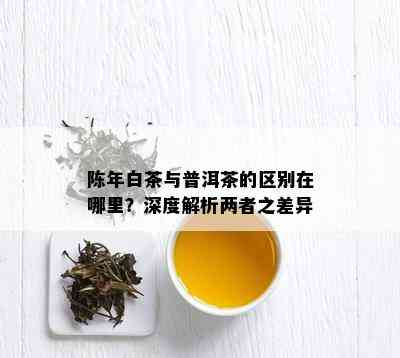 陈年白茶与普洱茶的区别在哪里？深度解析两者之差异