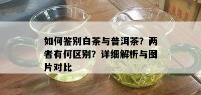 如何鉴别白茶与普洱茶？两者有何区别？详细解析与图片对比