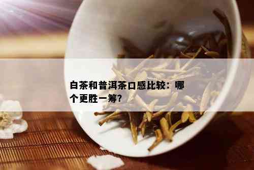 白茶和普洱茶口感比较：哪个更胜一筹？