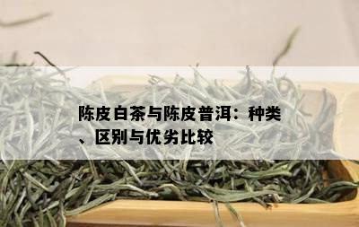 陈皮白茶与陈皮普洱：种类、区别与优劣比较