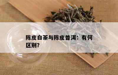 陈皮白茶与陈皮普洱：有何区别？