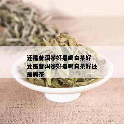 还是普洱茶好是喝白茶好-还是普洱茶好是喝白茶好还是黑茶