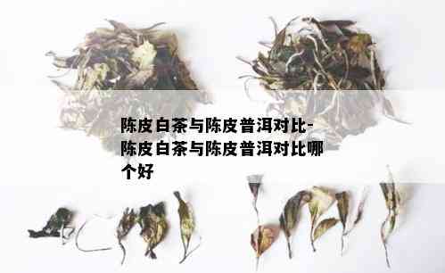 陈皮白茶与陈皮普洱对比-陈皮白茶与陈皮普洱对比哪个好