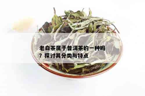 老白茶属于普洱茶的一种吗？探讨其分类与特点