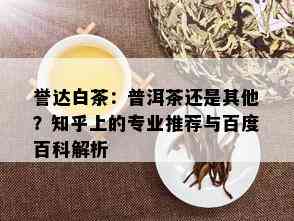 誉达白茶：普洱茶还是其他？知乎上的专业推荐与百度百科解析