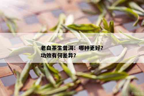 老白茶生普洱：哪种更好？功效有何差异？