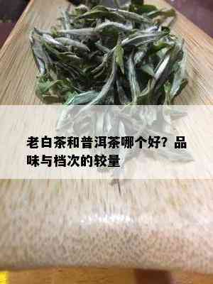 老白茶和普洱茶哪个好？品味与档次的较量