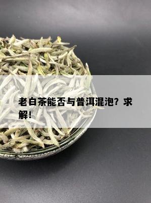 老白茶能否与普洱混泡？求解！