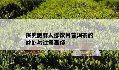 探究肥胖人群饮用普洱茶的益处与注意事项