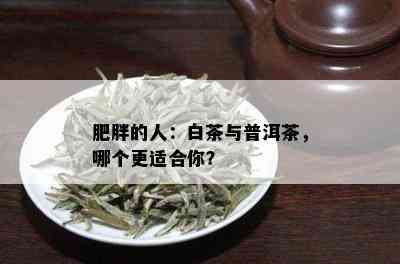 肥胖的人：白茶与普洱茶，哪个更适合你？