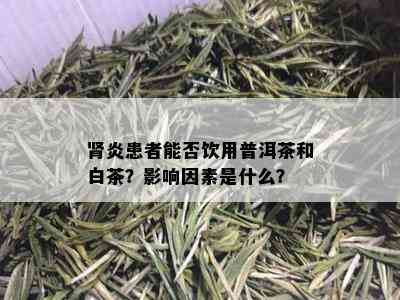 肾炎患者能否饮用普洱茶和白茶？影响因素是什么？